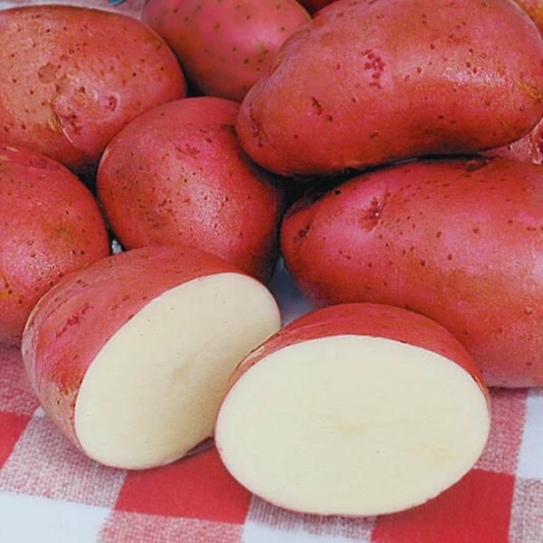 Potatoes