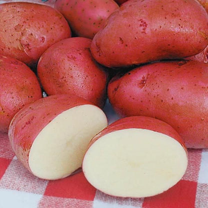 Potatoes