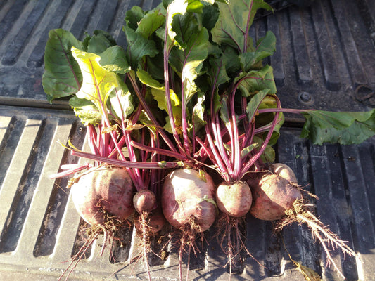 Red Beets