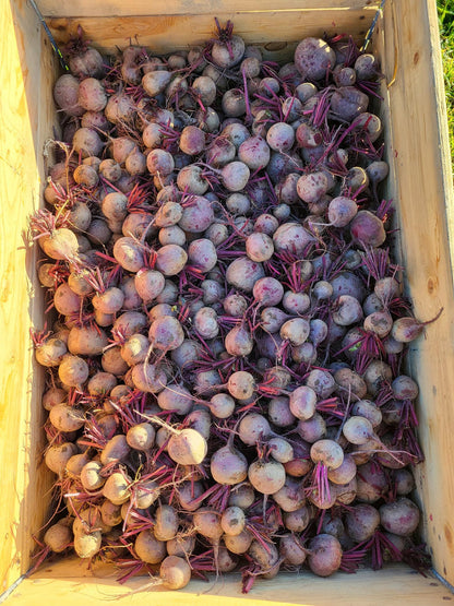 Red Beets